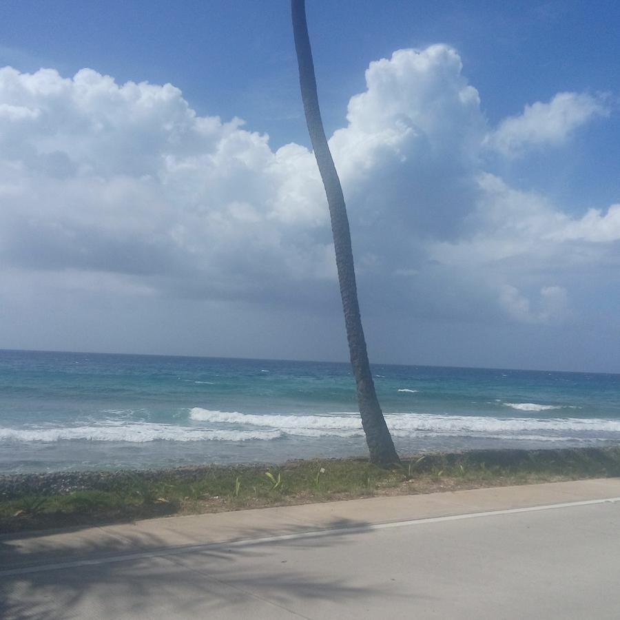 Apartahotel Miramar San Andrés Værelse billede